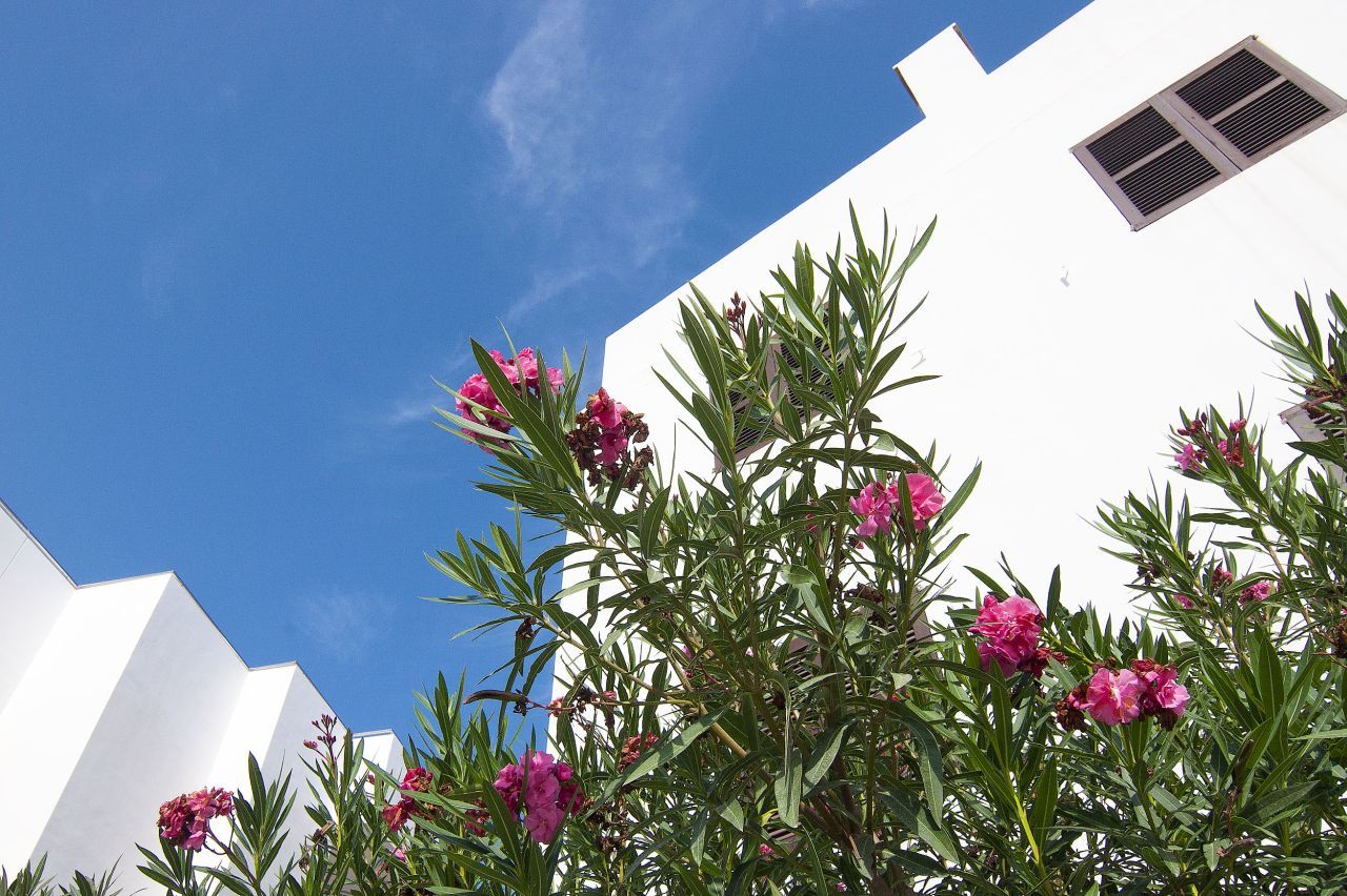 Apartamentos Pou Des Pujols Exterior foto